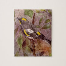 Audubon Paruline Peinture de Louis Agassiz Fuertes