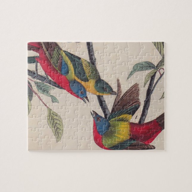 Puzzle Audubon Peint Bunting Bird Wildlife (Horizontal)