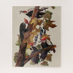Puzzle Audubon Peinture d'Oiseaux Pic Pilé