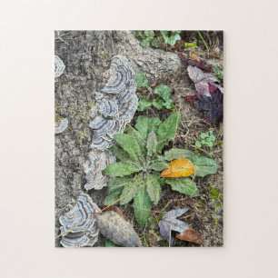 Puzzle aus 252 Stück