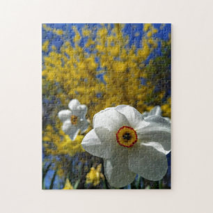 Puzzle aus Foto-Puzzle