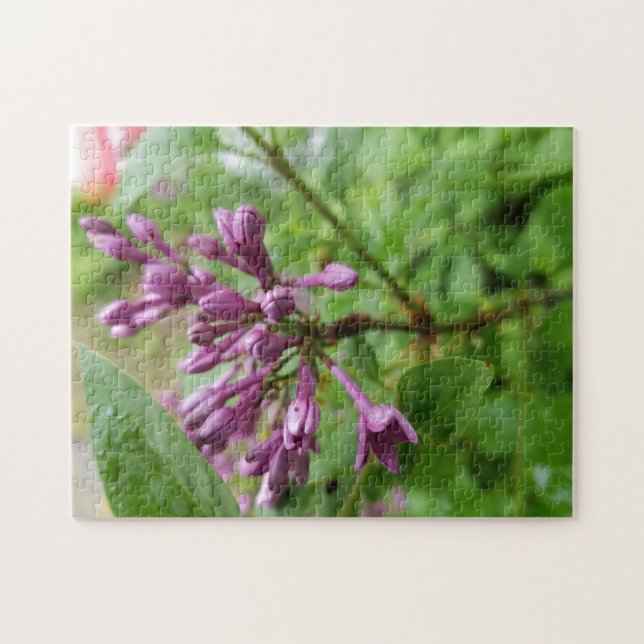 Puzzle aus lila Lila-Foto (Horizontal)