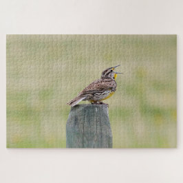 Puzzle aus Meadowlark