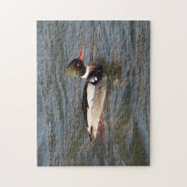 Puzzle aus Red Breasted Merganser