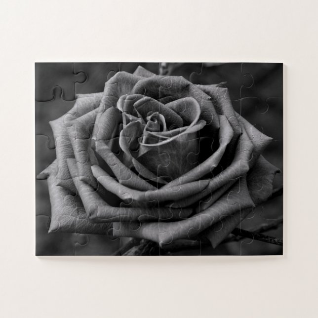 Puzzle aus schwarzem und weißem Rosenblumen (Horizontal)