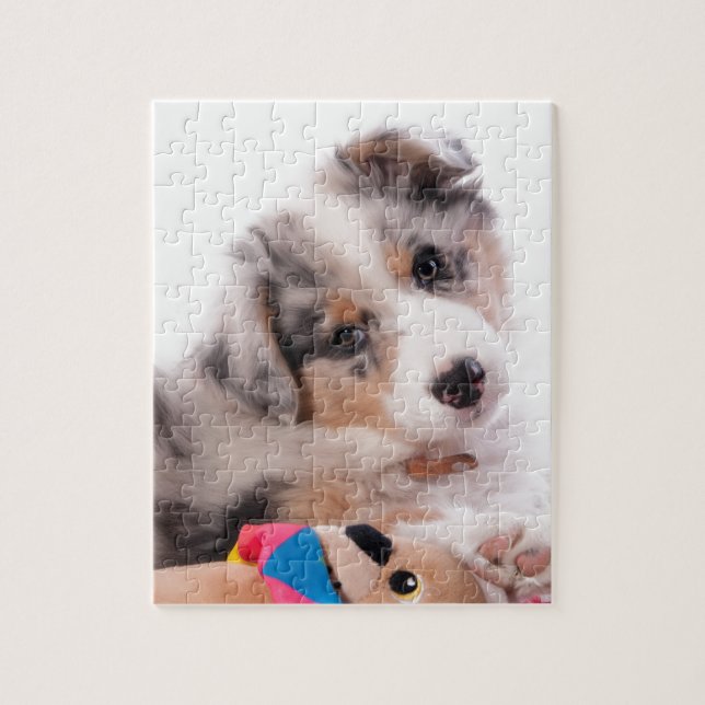 Puzzle Australian shepherd puppy (Vertical)