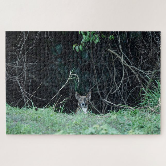 Puzzle Australian Wildlife Dingo Puppy  (Horizontal)