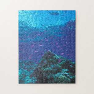 Puzzle Australie, Grande Barrière de corail. Fourmillant
