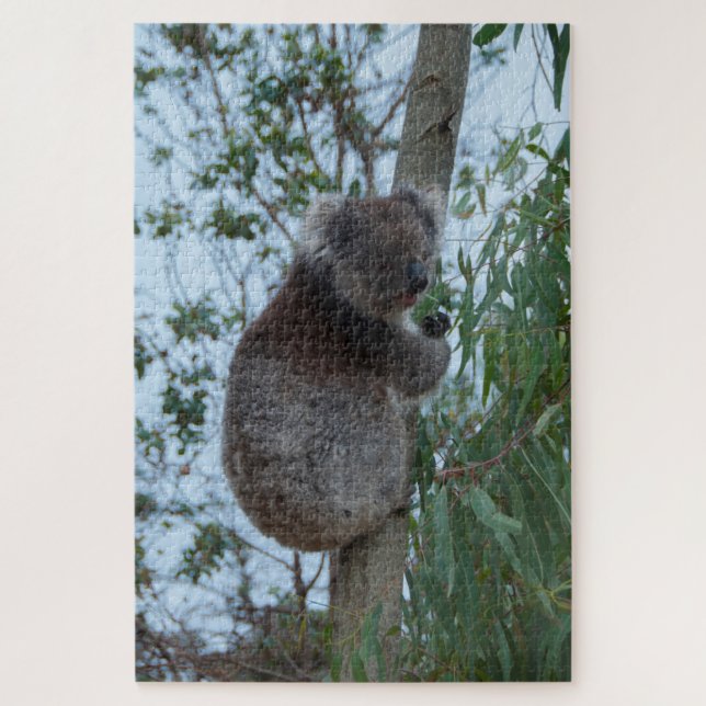 Puzzle Australie Kangaroo Island Koala Tree, 1014 pièces (Vertical)