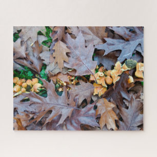 Puzzle Automne avec champignons jaunes et feuilles tombés
