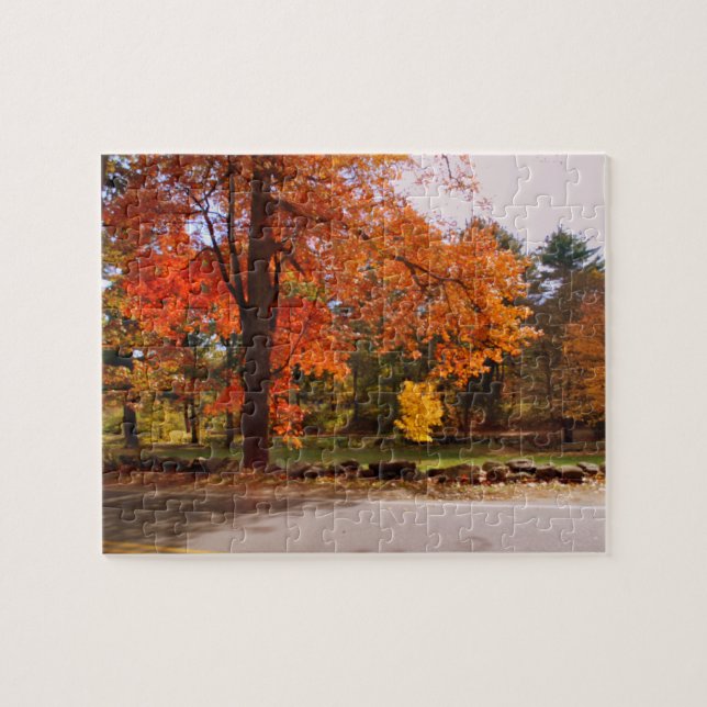 PUZZLE AUTOMNE EN NOUVELLE ANGLETERRE (Horizontal)