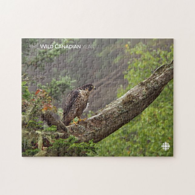 Puzzle Automne - Faucon pèlerin (Horizontal)