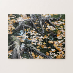 Puzzle Automne Otter Pond Feuille