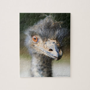 Puzzle Autruche