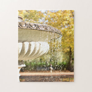Puzzle Autumn Leaves and Fountain Regent's Park London UK