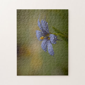 Puzzle Aux yeux bleus déwy