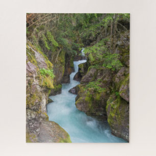 Puzzle Avalanche Creek, parc national de Glacier, Montana