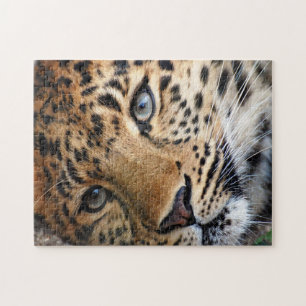 Puzzle avec boîte cadeau/Cheetah