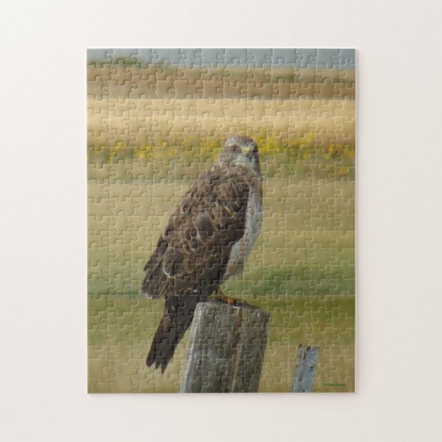 Puzzle B33 Buse de Swainson (Vertical)