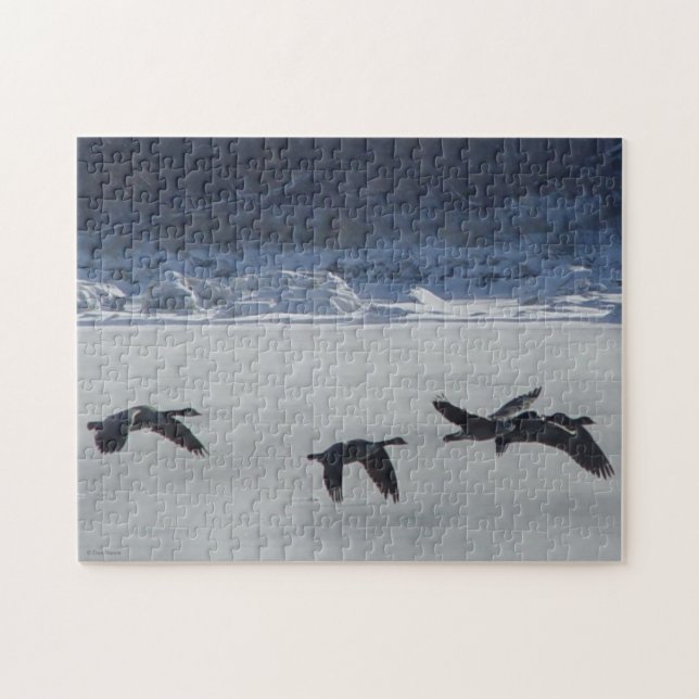 Puzzle B48 Oies canadiennes au-dessus de la rivière gelée (Horizontal)
