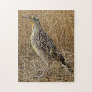 Puzzle B57 Sturnelle de l'Ouest