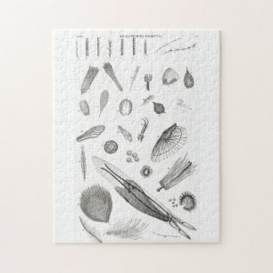 Puzzle B&W Science Microbiologie Magnification Microscopi