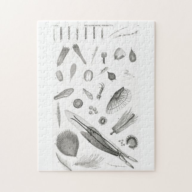 Puzzle B&W Science Microbiologie Magnification Microscopi (Vertical)