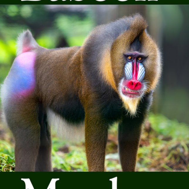 Puzzle Baboon singon (Baboon Monkey Jigsaw Puzzle!)