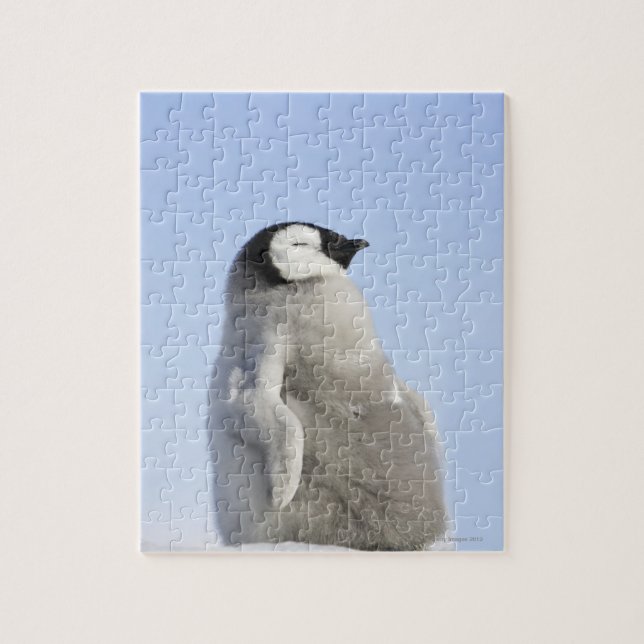 Puzzle Baby Empereur Penguin, île de Snow Hill (Vertical)