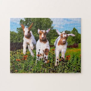 Puzzle "Baby Goats"