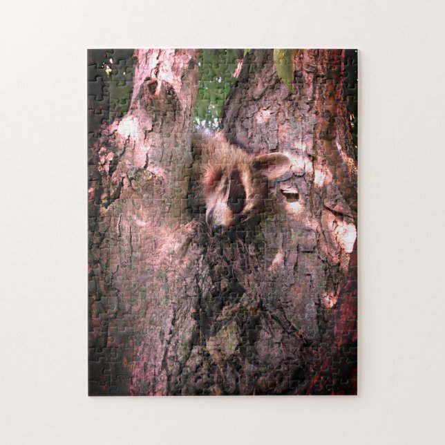 Puzzle Baby Raccoon (Vertical)
