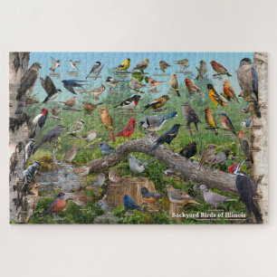 Puzzle Backyard Birds of Illinois
