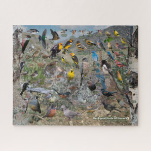 Puzzle Backyard Birds of Nevada