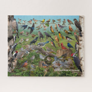 Puzzle Backyard Birds of Vermont