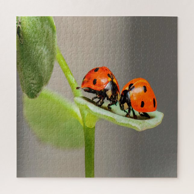 Puzzle Baiser Ladybugs (Vertical)