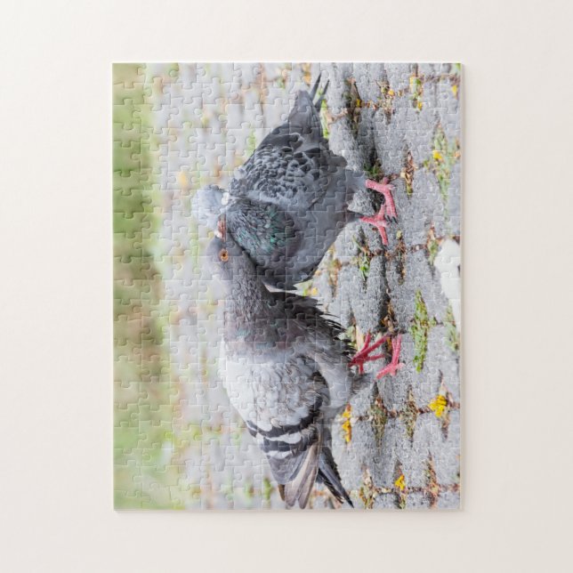 Puzzle Baisers des pigeons (Vertical)