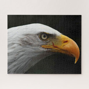 Puzzle Bald Eagle 16x20 jpcna 520pc