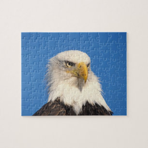Puzzle Bald Eagle Look