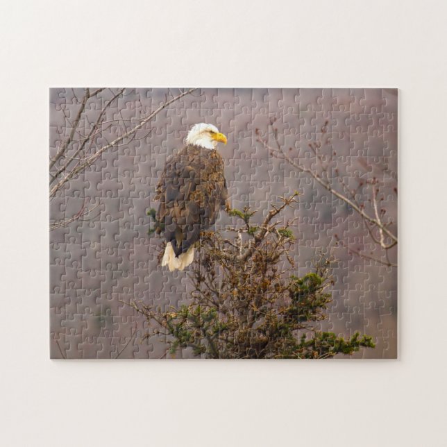 Puzzle Bald Eagle Nouvelle-Écosse Canada. (Horizontal)