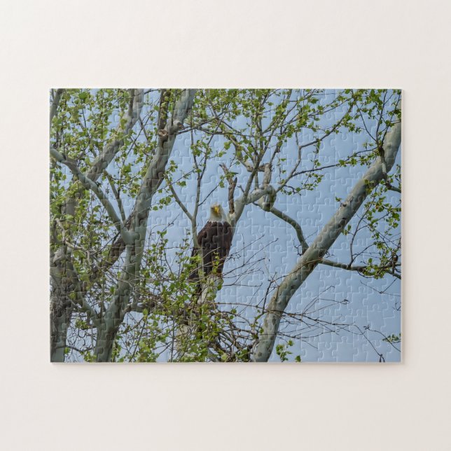 Puzzle Bald Eagle Smile (Horizontal)
