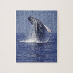 Puzzle Baleine à bosse faisant une brèche (Megaptera