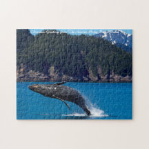 Baleine à bosse faisant une brèche. Vœux de Noël