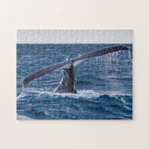 Puzzle Baleine à bosse Fluke Hors Surfers Paradise