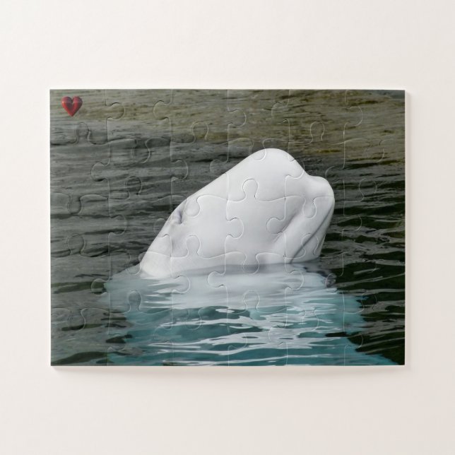 Puzzle Baleine de Beluga Alaska (Horizontal)