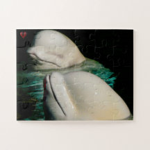 Baleine de Beluga Alaska