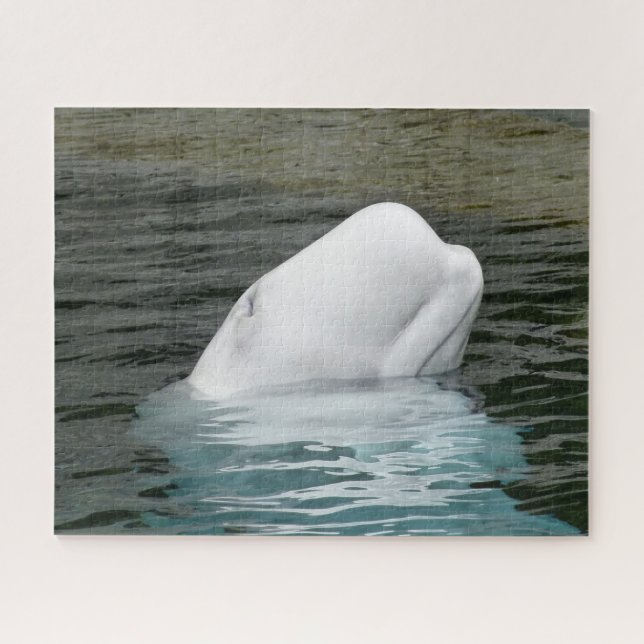Puzzle Baleine de Beluga Alaska (Horizontal)