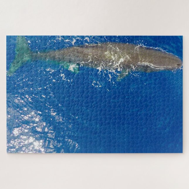 Puzzle Baleine de Sperm (Horizontal)