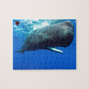 Puzzle Baleine de Sperm