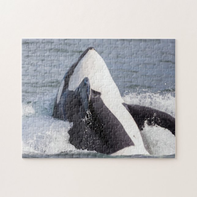 Puzzle Baleine d'Orca (Horizontal)