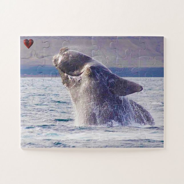 Puzzle Baleine droite (Horizontal)